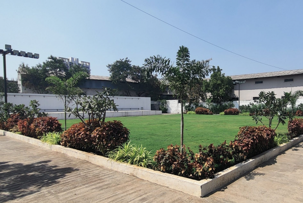 Lawn at Khalsa Lawns