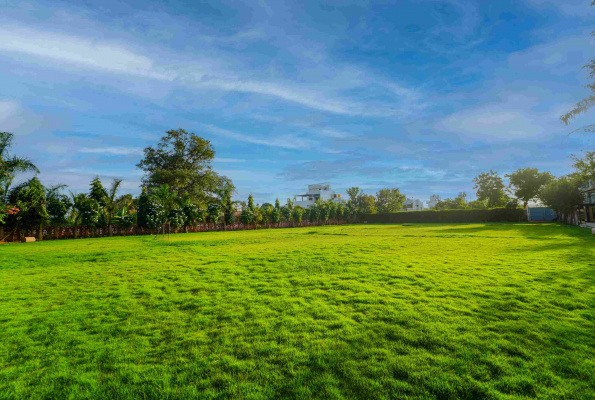 Green Aura at Jalmahal Resort And Spa