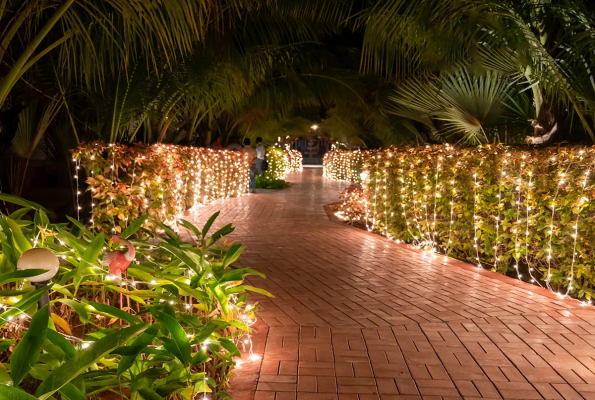 Courtyard at Brown Town Resort