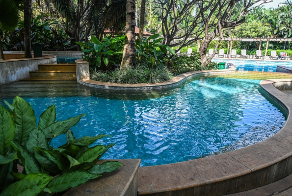 Poolside at Palm Meadows Resort