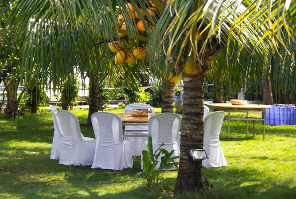 Citrus Garden at Grande Bay Resort And Spa