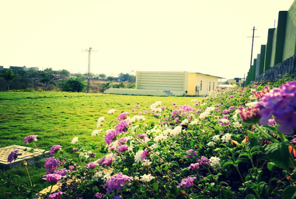 Shree Sai Kamal Lawns