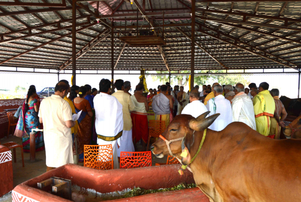 Goushala Ananda Brundavanam at Ananda Kshethram