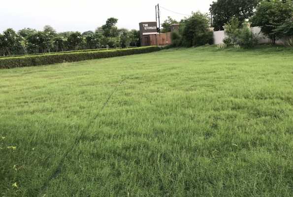 Lawn at The Govindam Resort