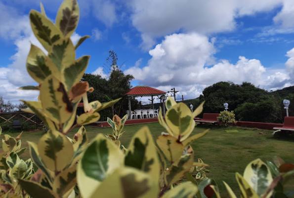 Forest County Resort 3