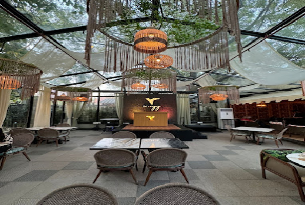 Ivoryy Delhi