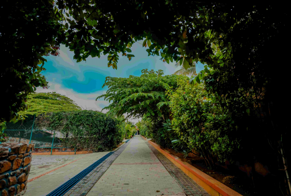 Nirantara Resort & Spa 4