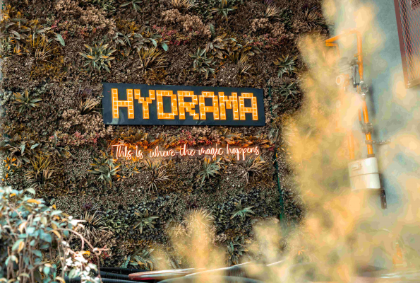 Hydrama