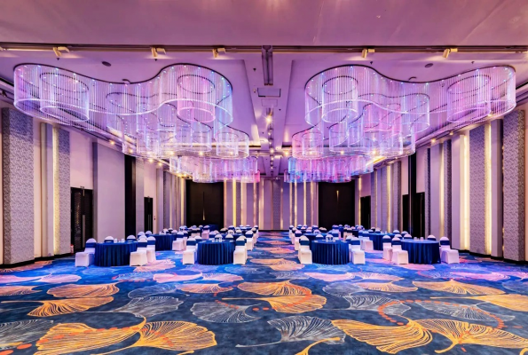 Sayaji Hotel Raipur 2