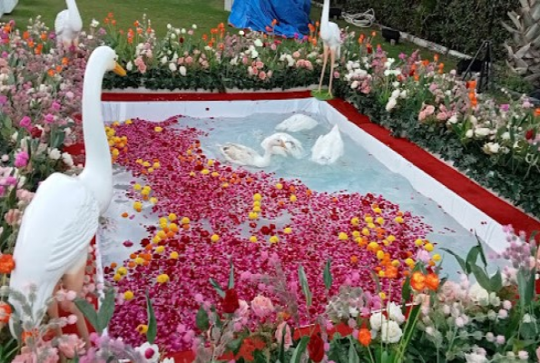 Akshar Party Lawns 4