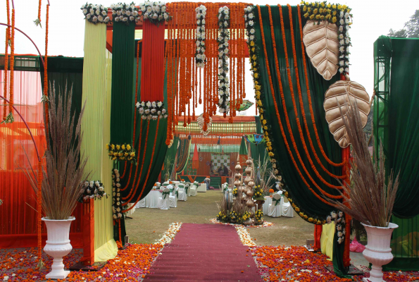 The Stellar Gymkhana