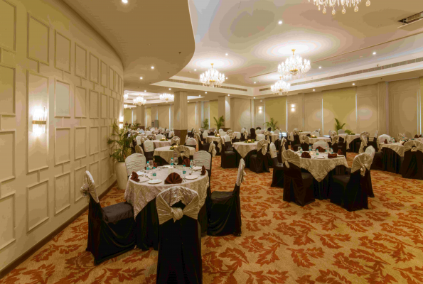 The Stellar Gymkhana