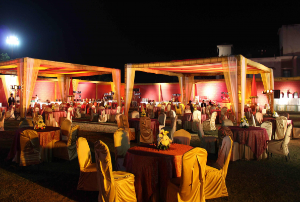 The Stellar Gymkhana