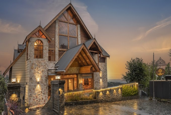 Echor Mandara Tree 1