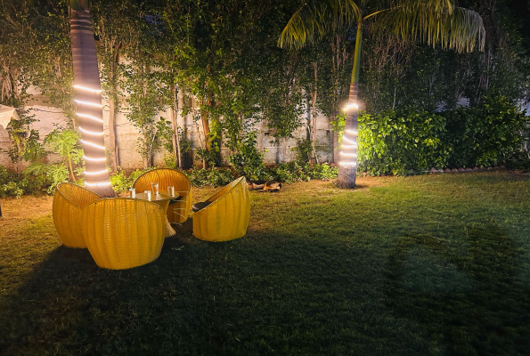 Mango People Farm