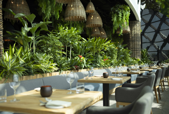 Dusit Thani Laguna Singapore 2