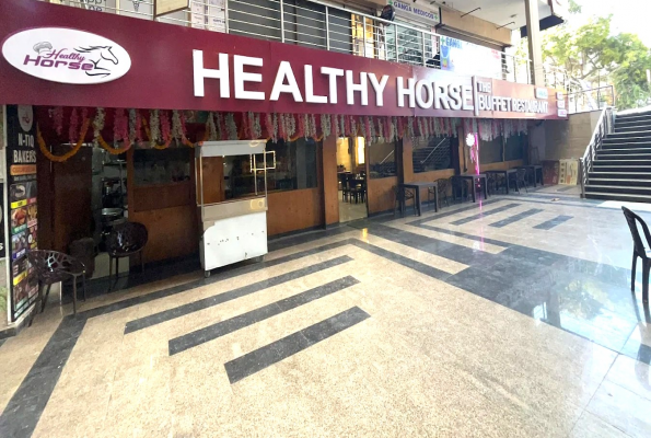 Healthy Horse
