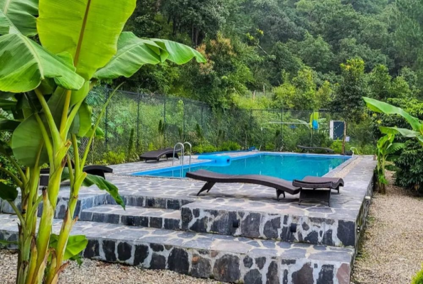 The Cozy Acorn Resort 3