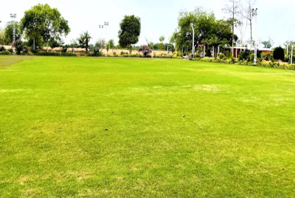 Ruta Farm Party Plot 5