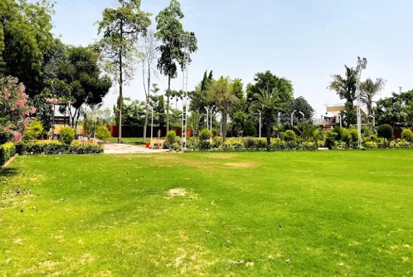 Ruta Farm Party Plot 3