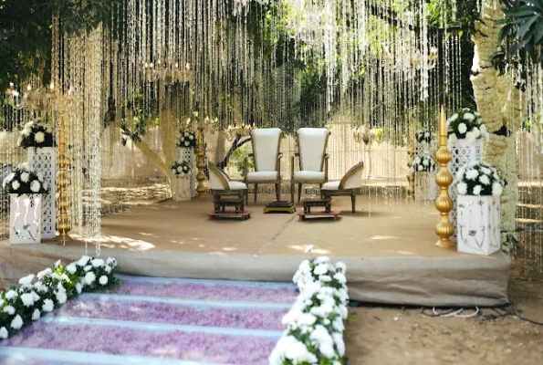 Ruta Farm Party Plot 3