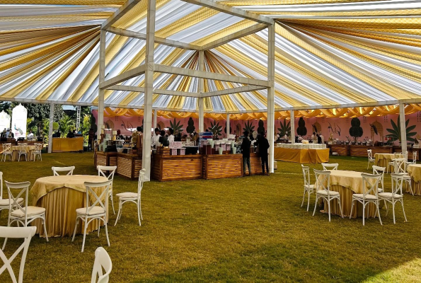 Ruta Farm Party Plot 5