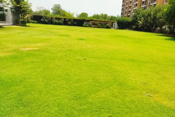 Shayona Farm Party Plot 2