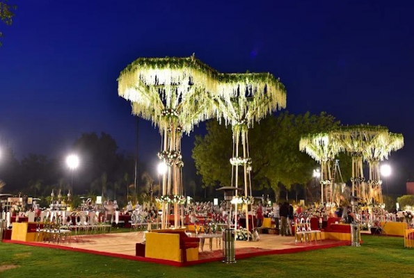 Vrundavan Premium Lawn 4