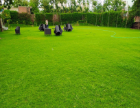 Lawn of The Aamantran Greens