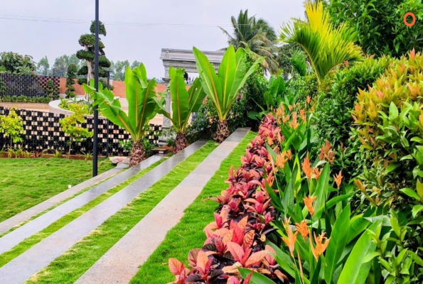 The Environ Courtyard Convention 4