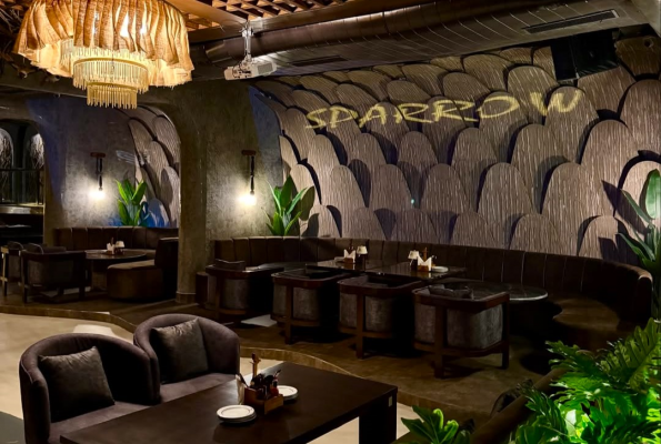 Sparrow Noida 3