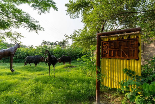 Jungle Trail 2