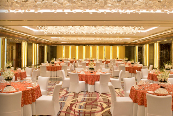 Ball Room at Radisson Blu Hotel