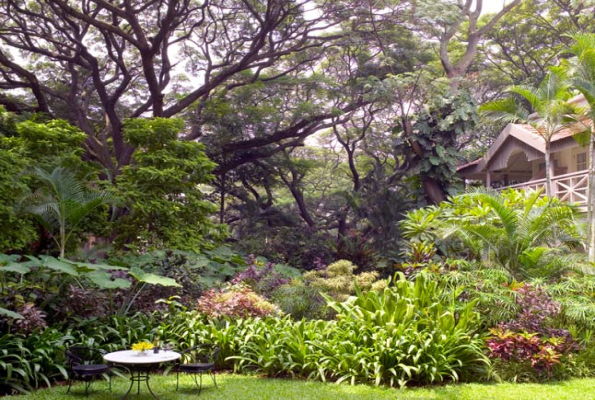 Blue Ginger lawn at  The Taj West End 