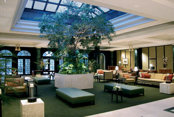  Cycad hall at  The Taj West End 