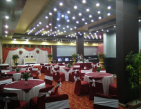 Hotel Savi Regency