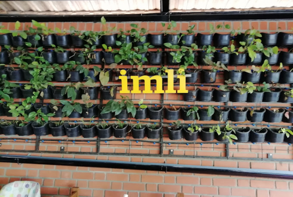 Imli Cafe And Restaurant