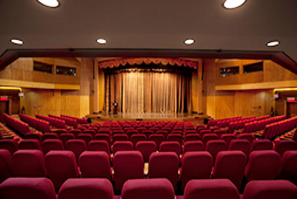 The Stein Auditorium at India Habitat Centre
