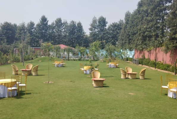 Golden Turtle Farm