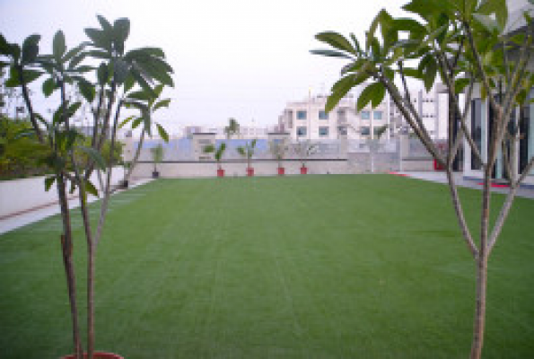 Open Lawn Area at Marigold Hotel Jaipur