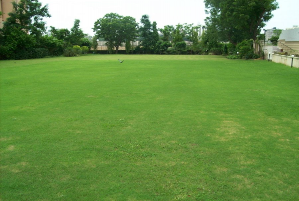 Rivera Sarovar Portico 2