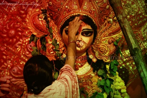 Photographer Brothers