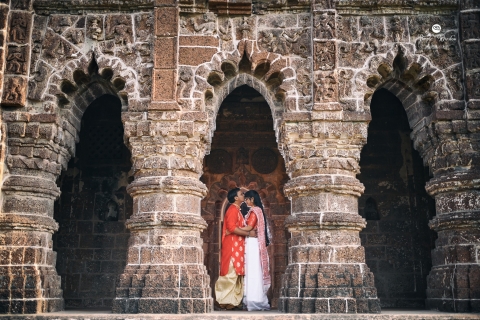 Purple Window Photography