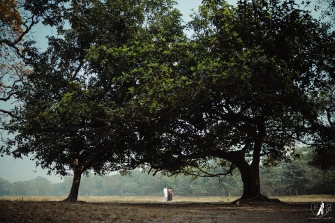 Creative Moments Frame