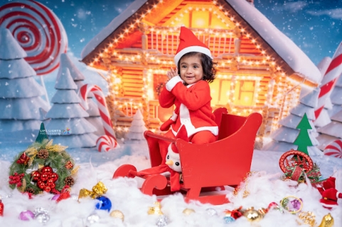 Life Lights Photography