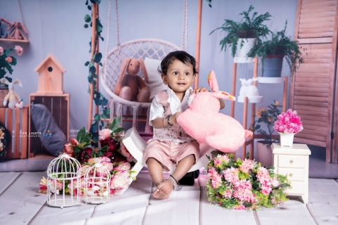 Life Lights Photography