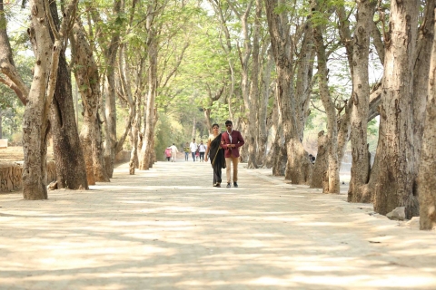 Vincent art photography firm