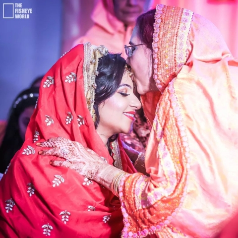 The Fisheye World Arthouse