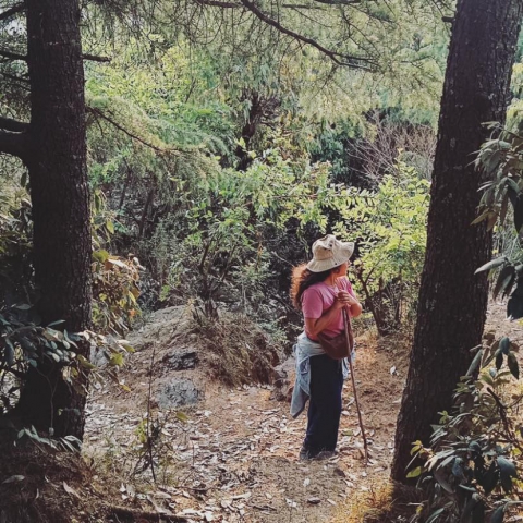 Sunayanas Cinegraphy