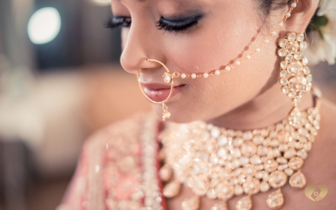 Butterfly Media Creation